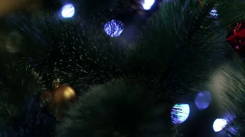 Christmas tree Stock Footage 80237556