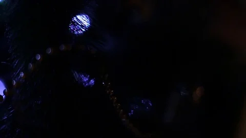 Christmas tree Stock Footage 80237579