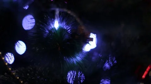 Christmas tree Stock Footage 80237630