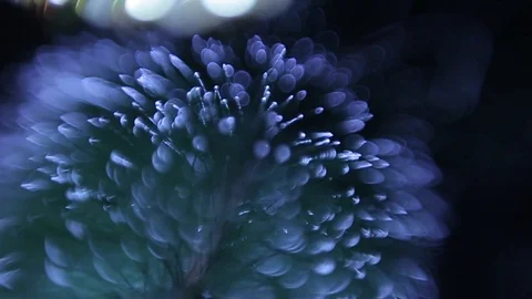 Christmas tree Stock Footage 80237743