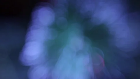 Christmas tree Stock Footage 80237785