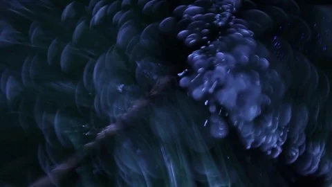 Christmas tree 스톡 동영상 80237836