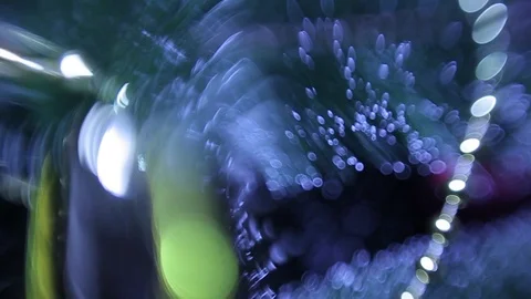 Christmas tree Stock Footage 80238020