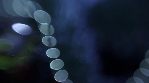 Christmas tree Stock Footage 80238036