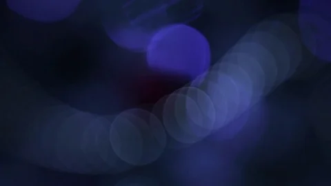 Christmas tree Stock Footage 80238101