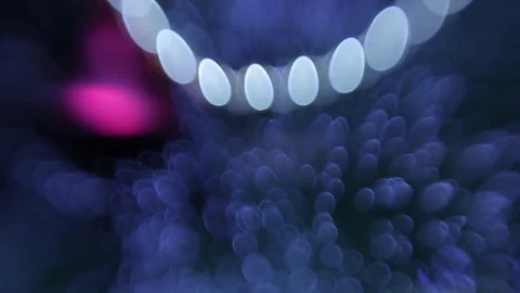 Christmas tree Stock Footage 80238125