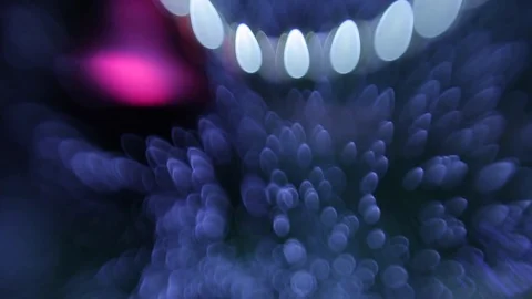 Christmas tree Video stock 80238146