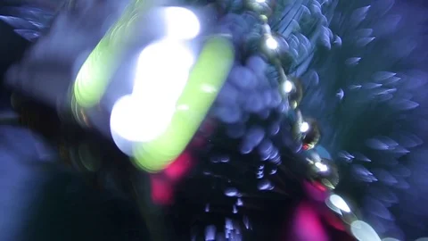 Christmas tree Stock Footage 80238212