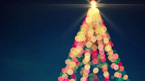 Christmas Tree Stock Footage 80892934