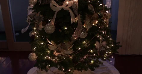 Christmas Tree Stock Footage 83100580