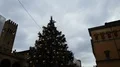 Christmas tree 4k or 4k+ Resolution