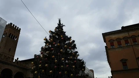 Christmas tree 库存影片 83240712