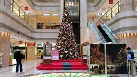 CHRISTMAS TREE Stock Footage 84451178