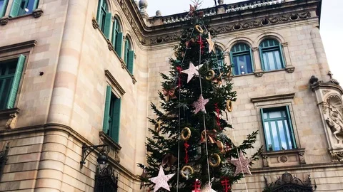 Christmas Tree Stock Footage 99106062