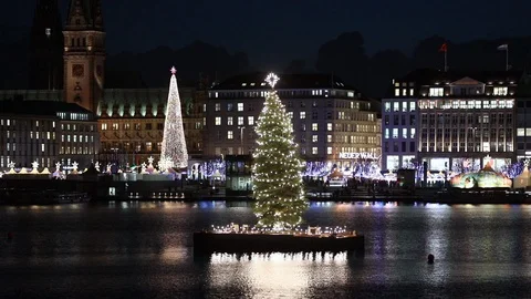 Christmas tree Stock Footage 99318438