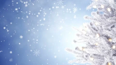 Christmas tree Stock Footage 100050929