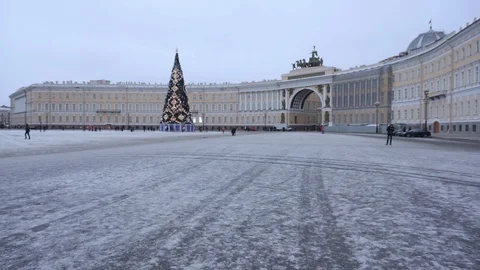 Christmas tree Stock Footage 101281464