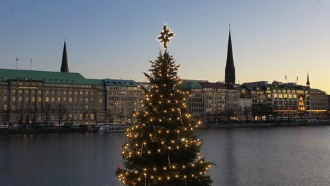 Christmas Tree Stock Footage 120701160