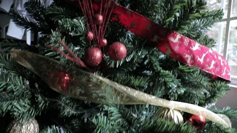 Christmas tree Stock Footage 121129260