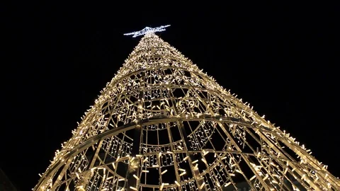 Christmas tree Stock Footage 122235456