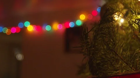 Christmas tree Stock Footage 122351855