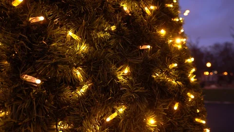 Christmas tree Stock Footage 123228004
