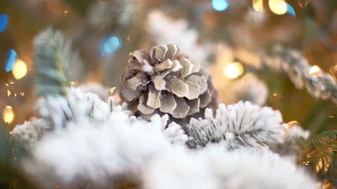 Christmas Tree Stock Footage 129700972