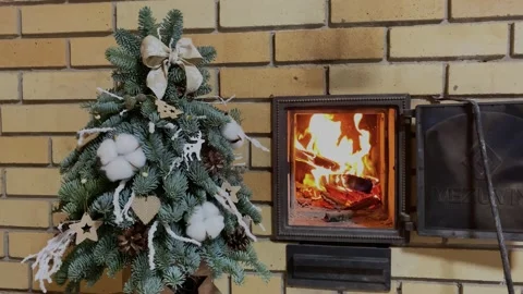 Christmas tree Video stock 144428756