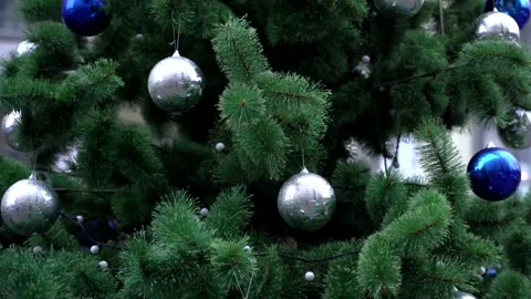 Christmas tree Stock Footage 145387715
