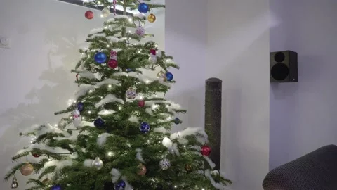 Christmas Tree Stock Footage 145737508