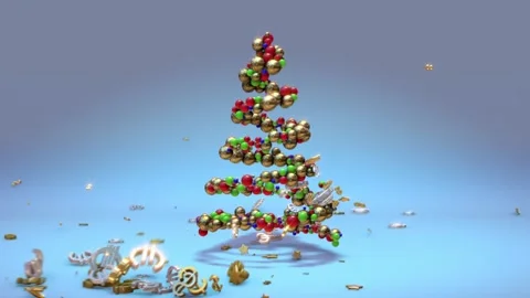 Christmas tree Stock Footage 147401951