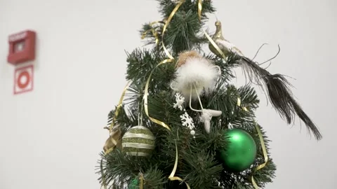 Christmas tree Stock Footage 147444316