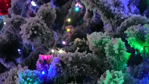 Christmas tree Stock Footage 148474031