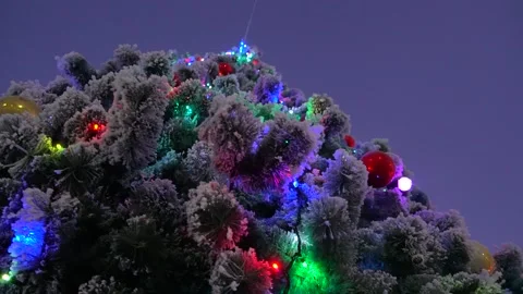 Christmas tree Stock Footage 148474045