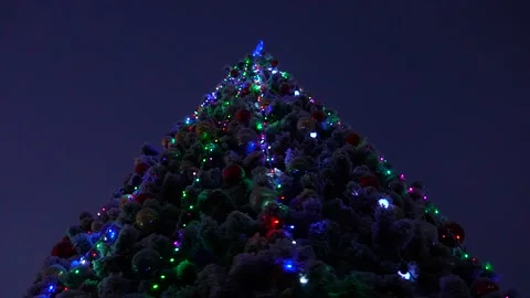 Christmas tree Stock Footage 148474850