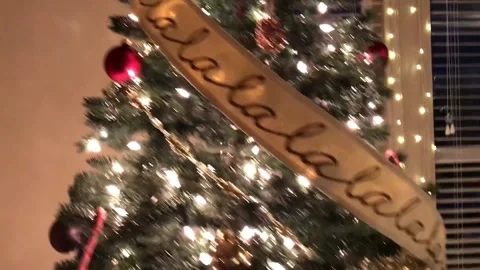 Christmas tree Stock Footage 159822011