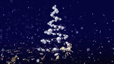 Christmas Tree Stock Footage 162544985