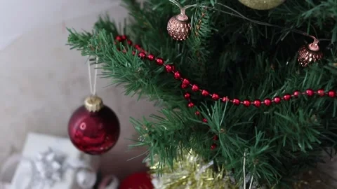 Christmas tree Stock Footage 163278589