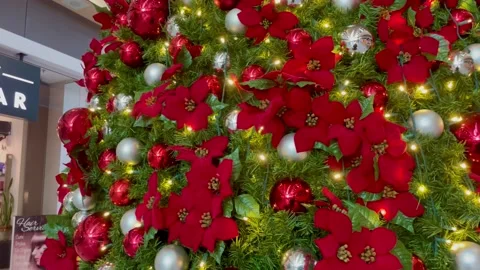 Christmas Tree Video stock 222844950