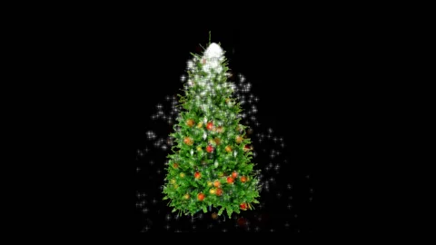 Christmas tree Stock Footage 224610338