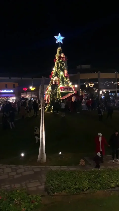 Christmas tree Stock Footage 227228175