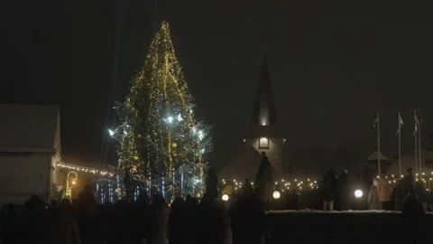 Christmas tree Video stock 230970222