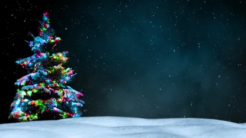 Christmas tree Stock Footage 250384755