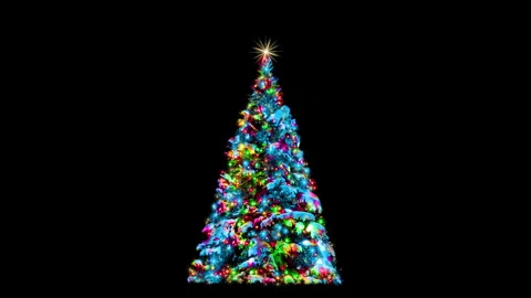 Christmas tree Stock Footage 250385095
