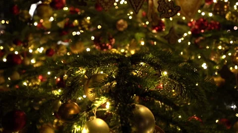Christmas tree. Video stock 262698921
