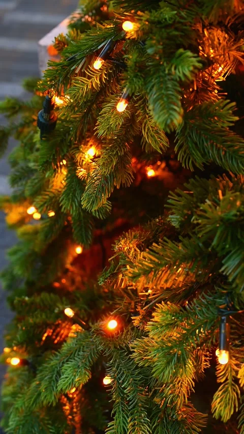 Christmas Tree Stock Footage 281248978