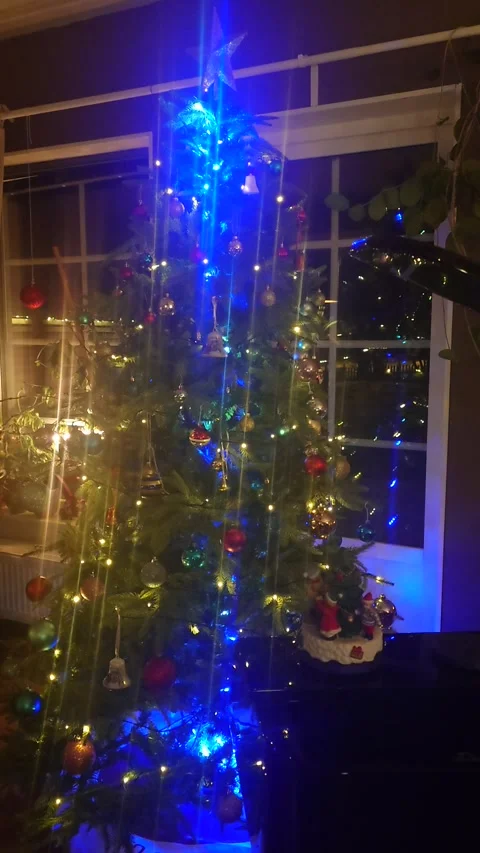 Christmas tree Video stock 295145786