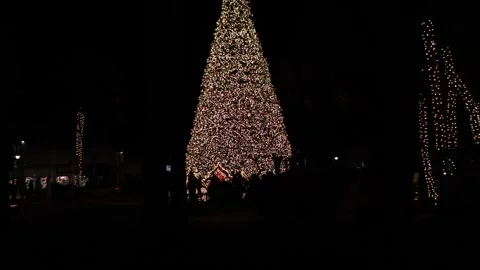 CHRISTMAS TREE Stock Footage 295958496