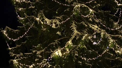 Christmas tree 스톡 동영상 327541626