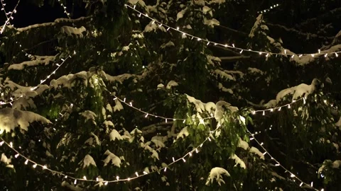 Christmas tree 스톡 동영상 327541639